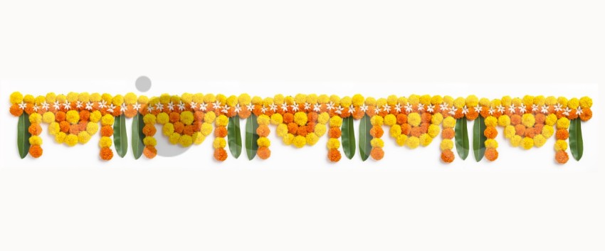 marigold flower rangoli design diwali festival