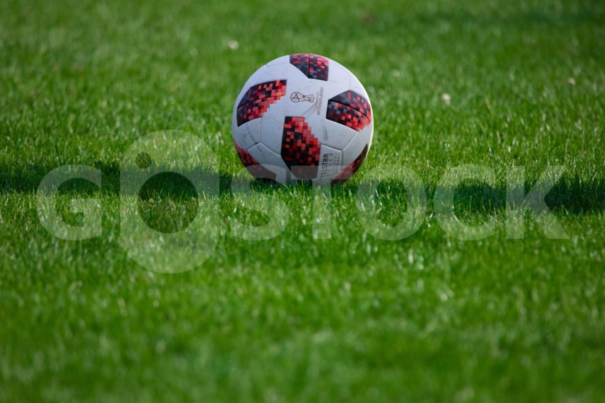 Ball on the grass