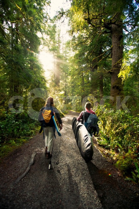 Excursion forest people   2832x4240